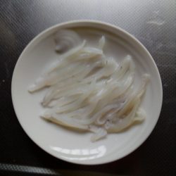 アオリイカ、今シーズンまだ二桁行かないよう‼