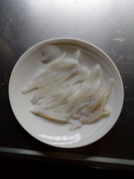 アオリイカ、今シーズンまだ二桁行かないよう‼