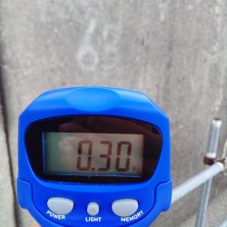 アオリイカ釣れる、釣れる!