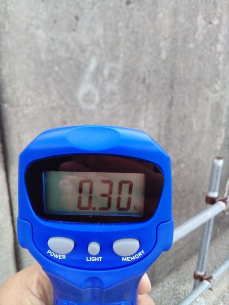 アオリイカ釣れる、釣れる!