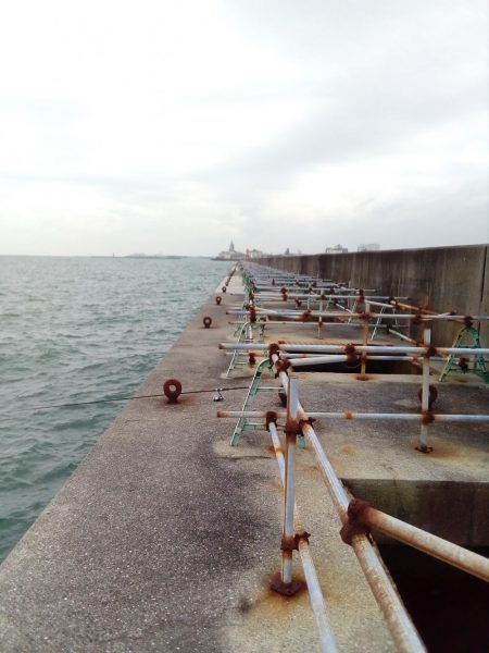 本命はゼロ、外道は釣れました。