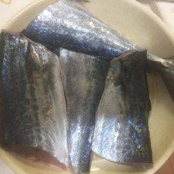 マクラーレン・イワシ