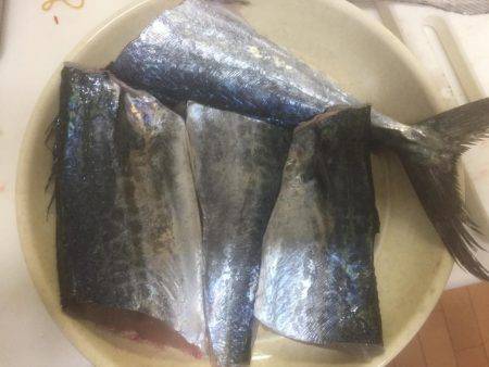 マクラーレン・イワシ