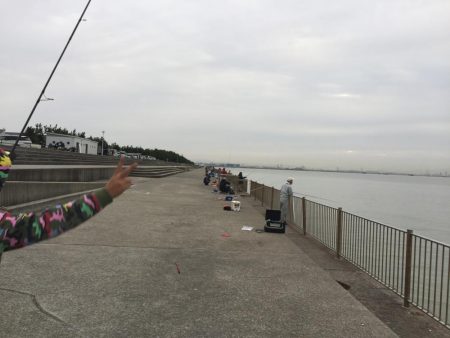 台風後の釣果