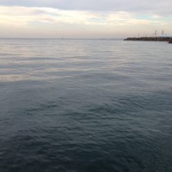 フックは大事!!!