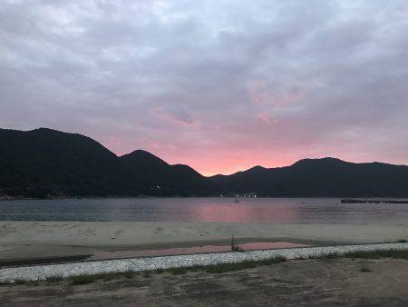 エギングからのキス釣り