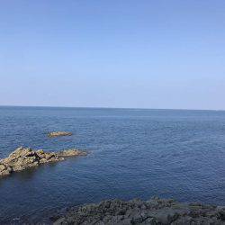 4回目のエギング