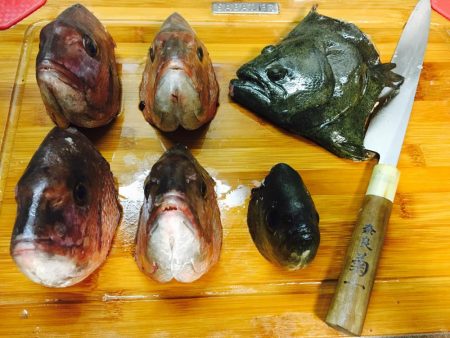 青モノ目指して