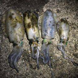 西流れが難しい