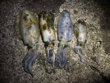 西流れが難しい