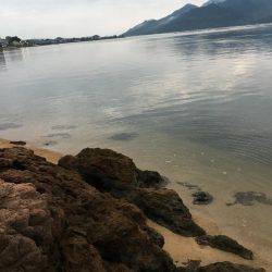 気になっていた地磯