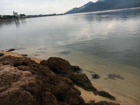 気になっていた地磯
