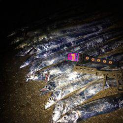 晩ご飯のおかず釣り