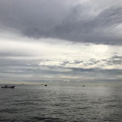 ポーアイチャレンジ