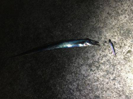 スローワインド