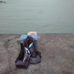 タチウオと小アジ