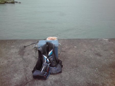 タチウオと小アジ