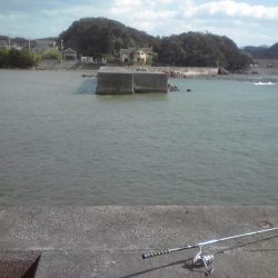 強風と濁流海水