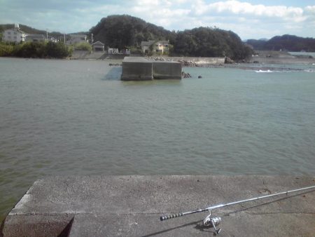 強風と濁流海水