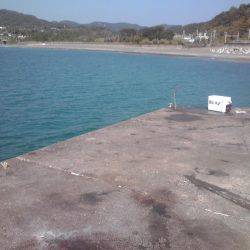 シマアジとフエフキダイ