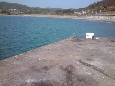 シマアジとフエフキダイ