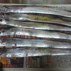 太刀魚釣り・・渋いですよ！