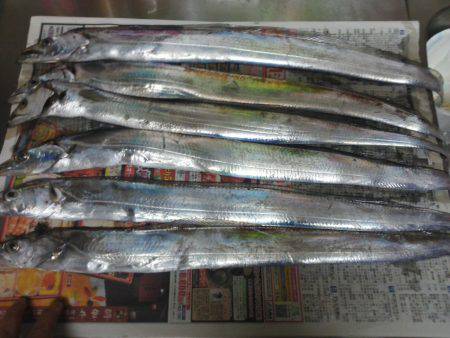 太刀魚釣り・・渋いですよ！