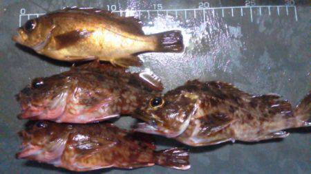 やっぱりのべ竿が好き！