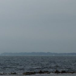 エギングついでに・・・・