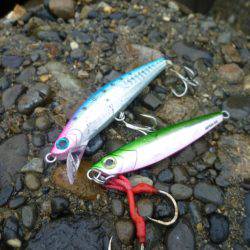 なんとか１匹～