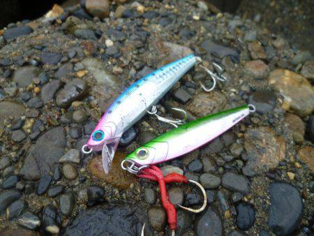 なんとか１匹～