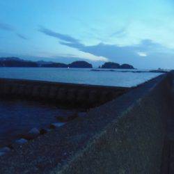 アイゴ33センチ