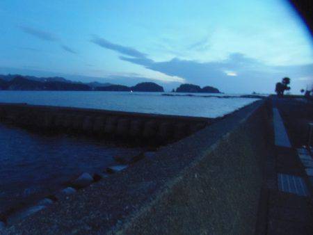 アイゴ33センチ