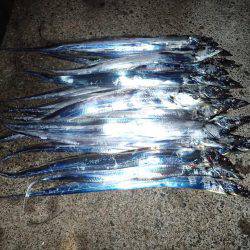 本日もたまや渡船で沖堤防♪