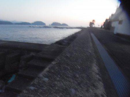 サンバソウとコッパグレばかり