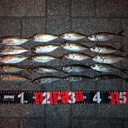 仕事終わりにサクッと！