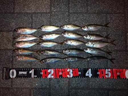 仕事終わりにサクッと！