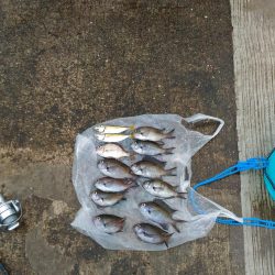 いとこの初めて