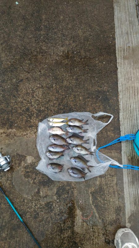 いとこの初めて