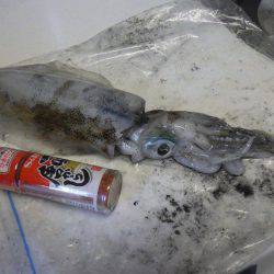 2日連続ティップラン