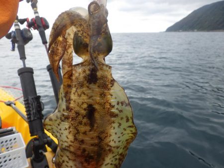 ティップランエギング