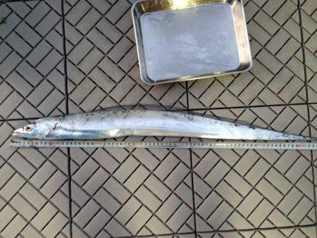 石津浜　４日連荘絶好調