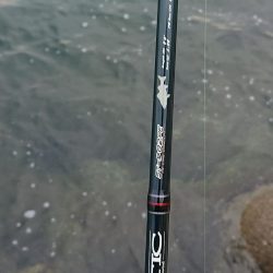釣り部 釣行記 3