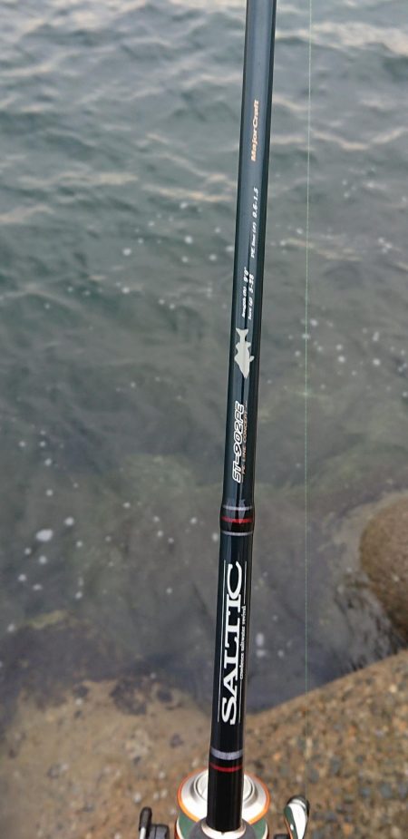 釣り部 釣行記 3