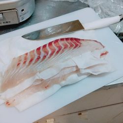 ルアー調査、シーバスは？