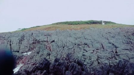 小さくても青物