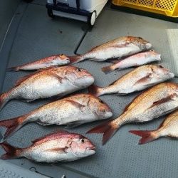 IDATEN（イダテン） 釣果