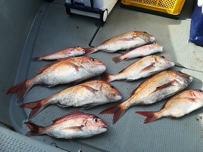 IDATEN（イダテン） 釣果