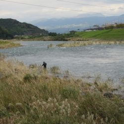 狩野川(狩野川漁業協同組合) 釣果