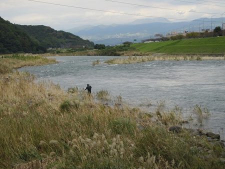 狩野川(狩野川漁業協同組合) 釣果